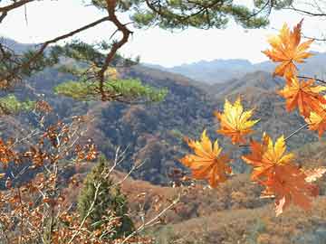 大型汽油打井機：地下寶藏的開采神器
